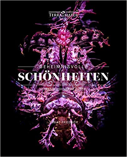 Dieses Buch bei Amazon.de bestellen.