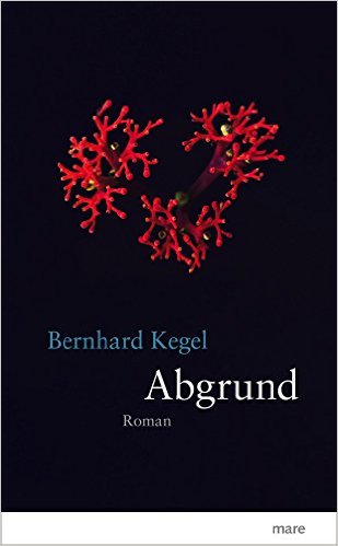 Dieses Buch bei Amazon.de bestellen.